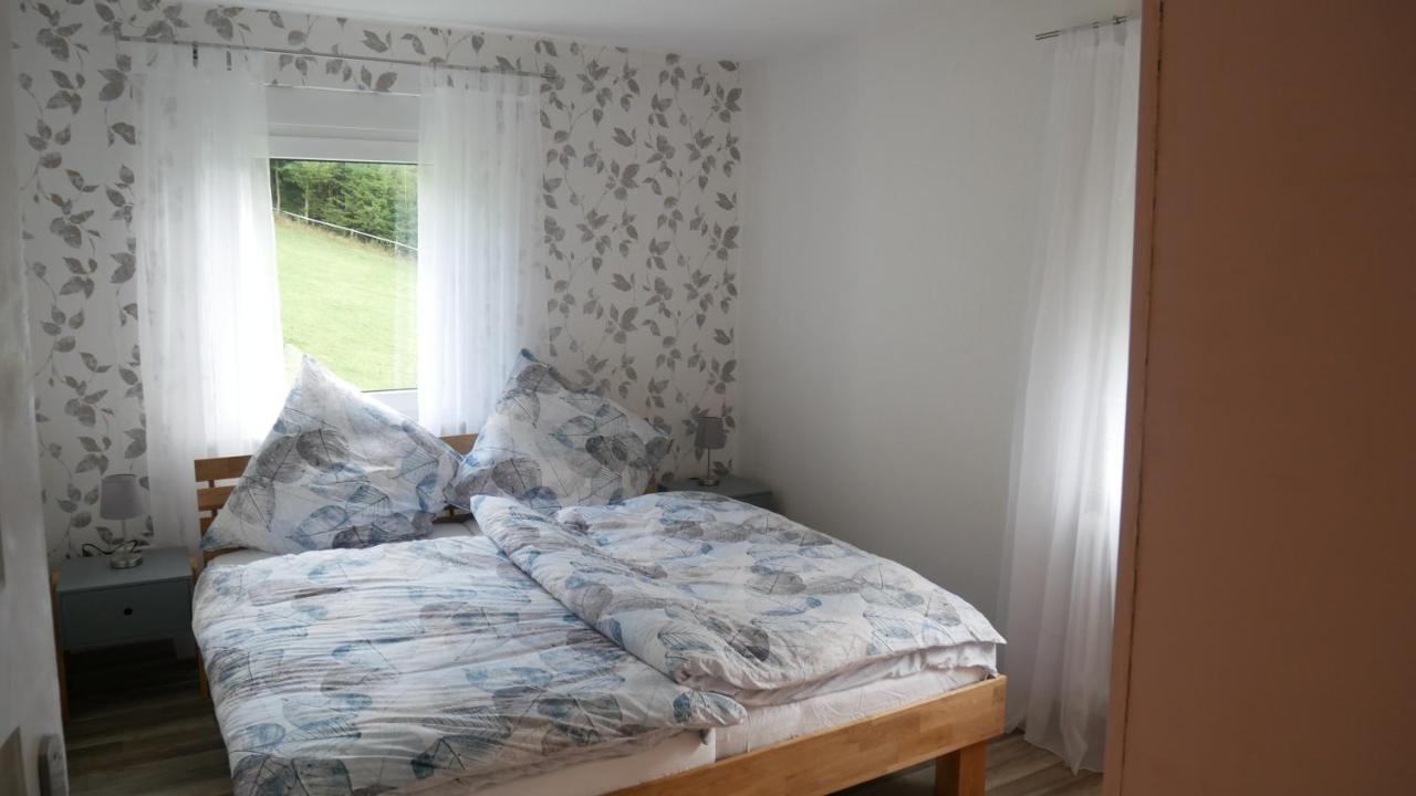 Modernisierte Ferienwohnung Im Schoenen Sauerland 메체데 외부 사진