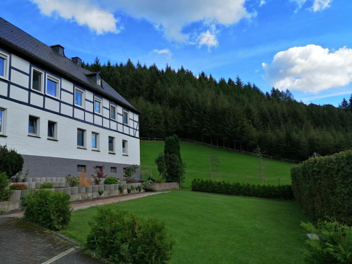 Modernisierte Ferienwohnung Im Schoenen Sauerland 메체데 외부 사진